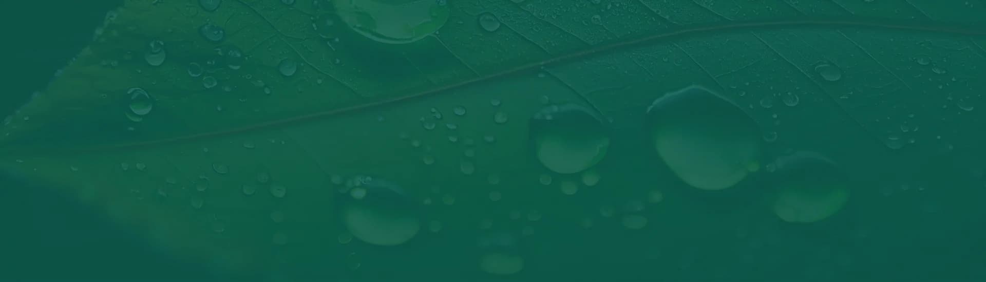 You asked, we delivered. background