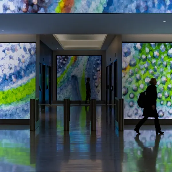 Bristol Myers Squibb